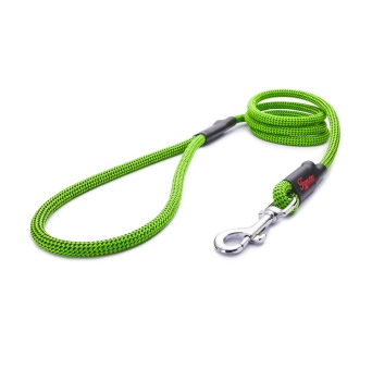 Preview: klassische Hundeleine - M - 175cm - grün mit schwarzen Punkten